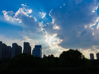 _DSC6106