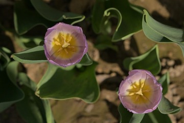 001
