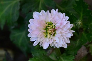 218ECA40-F704-4F1D-945C-C74336D70FED/L0/001