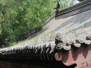 IMG_3599.JPG