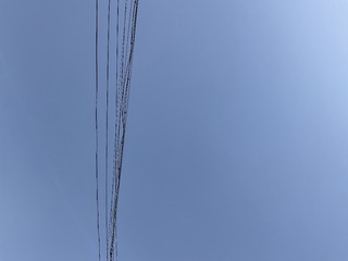01C743CE-6323-4338-9B82-E738091E680D/L0/001