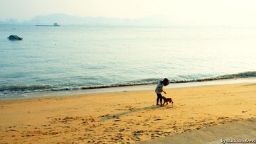 鼓浪屿04.jpg