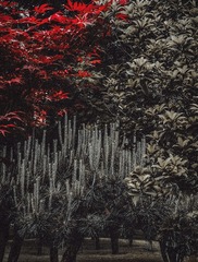 1000008275