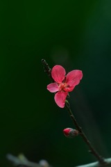 23073