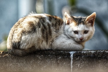 12510