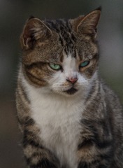 217163