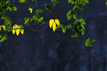 306380
