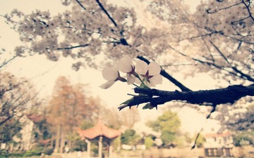 DSCN0221_副本.jpg