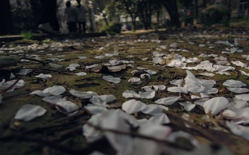 DSCN0239_副本.jpg