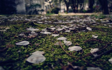 DSCN0243_副本.jpg