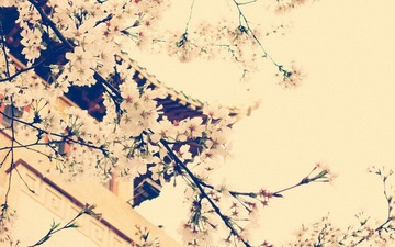 DSCN0301_副本.jpg