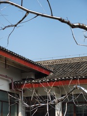 6000D8B3-7242-43A1-9385-4E1B2D8B53E6/L0/001