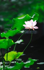 001