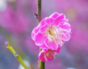 277D683A-F35C-4F7E-9AA8-B6EBF5153FD6/L0/001