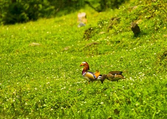 DSC_0273.jpg