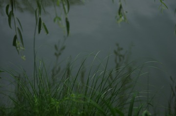 1000004023