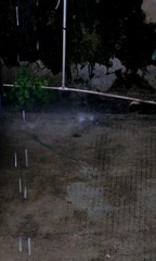 1309511