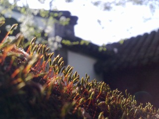 20120402489.jpg