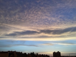 8FE2F96F-21F2-40D1-B240-3628412B0CC8/L0/001