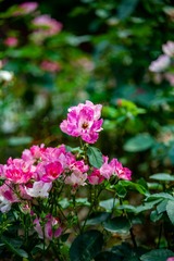 63353810-BD35-47D8-97C9-1B724C239129/L0/001