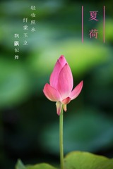 7E736308-F60E-4510-B4B6-FA2EC73A6BCA/L0/001