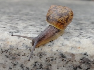 5464997