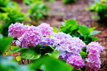 635315DC-9017-4A57-B6A2-129315E07A8D/L0/001