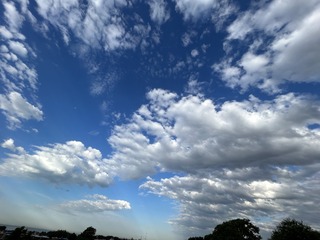 C89764D0-3DB1-4934-A3A8-15267B056BD2/L0/001