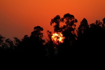 夕阳醉了7