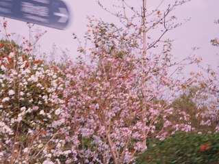 9B96AD9E-7B41-448C-99B0-2CC170537803/L0/001