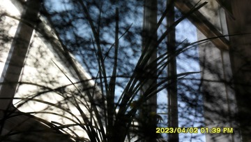 05F22674-8340-4AA2-A385-9D2B35731654/L0/001
