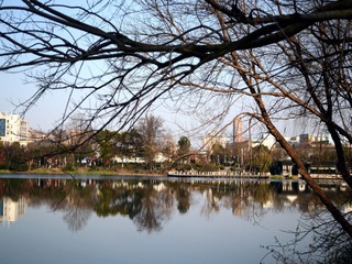 DSC_0012.jpg