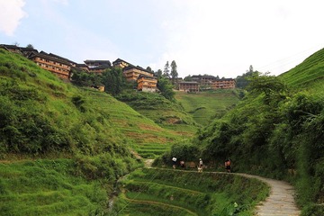 IMG_1567.jpg