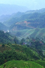 IMG_1697.jpg