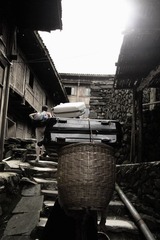 IMG_1523.jpg