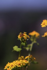 42A75110-80C6-40AB-8FC8-5F2CF58EC347/L0/001