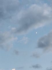 1000087399
