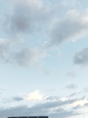 1000087402