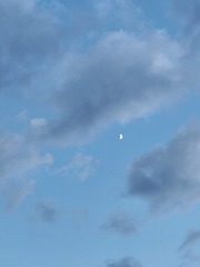 1000087400