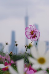 5BA0AF4A-CC18-45CB-B7D6-CD93B31CC8FE/L0/001