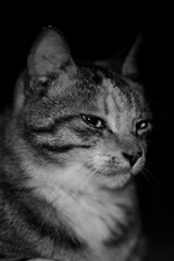 A8950012-1724-49DF-B643-4EB83F8A7020/L0/001