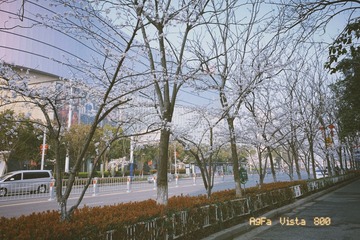 4E0E90B9-24D0-4868-B8CB-C933A60A2AE9/L0/001