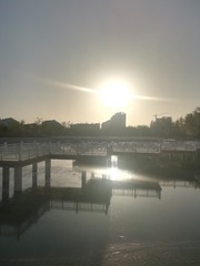 2545501