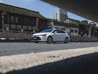 DSC_8722