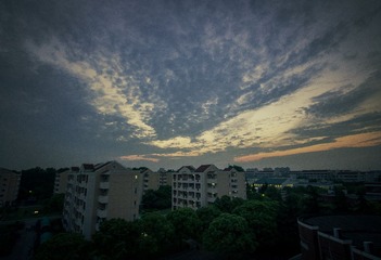 IMG_8893.jpg
