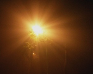 IMG_20131205_203707