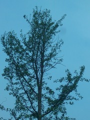 F055406A-750F-434A-8169-41513EC21461/L0/001