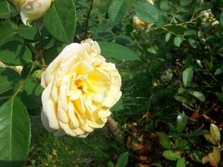 51F57CF9-235F-4ACB-BB31-BDCD3F1BEA59/L0/001