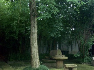 D3F9A2B1-8876-41DB-BE07-E2F00E24A390/L0/001