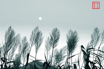 _MG_5236.jpg